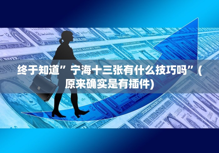 终于知道”宁海十三张有什么技巧吗”(原来确实是有插件)