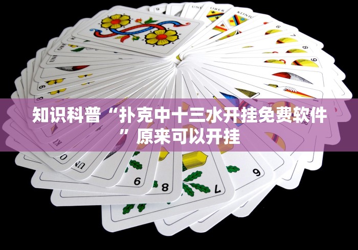知识科普“扑克中十三水开挂免费软件”原来可以开挂