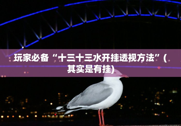 玩家必备“十三十三水开挂透视方法”(其实是有挂) 玩家必备“十三十三水开挂透视方法”(其实是有挂)