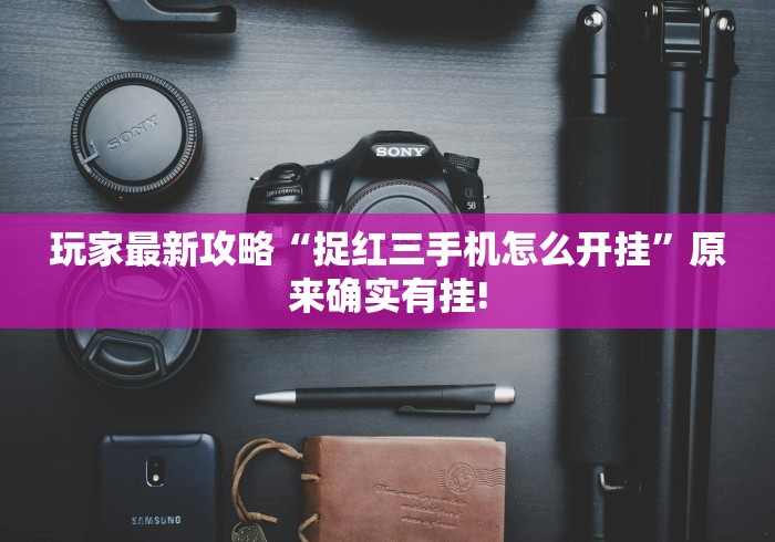 玩家最新攻略“捉红三手机怎么开挂”原来确实有挂!